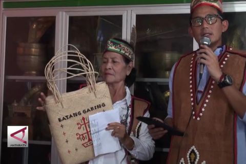 Sandi Uno soroti penyelundupan rotan asal Kalteng