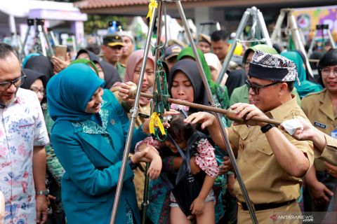 Festival Posyandu Kreatif