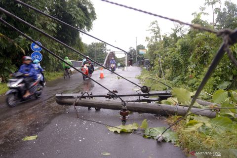Dampak bencana banjir Trenggalek