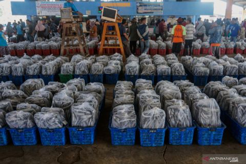 Target produksi perikanan nasional