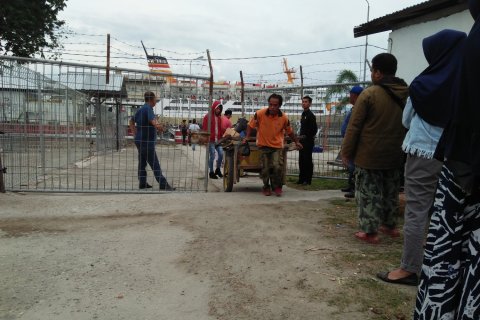 Aktivitas di pelabuhan Pantoloan Palu mulai pulih