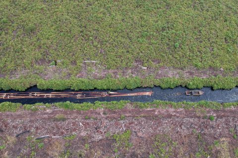 Ancaman pembalakan liar hutan di Jambi