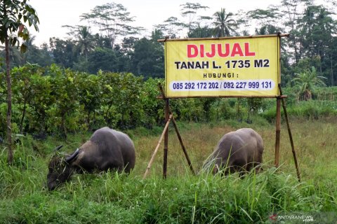 Alih fungsi lahan pertanian