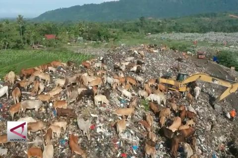 TPA Hampir Penuh, Pemprov Sumbar Siapkan TPA Regional