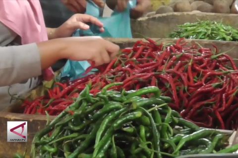 TPID Kota Batam petakan pertanian