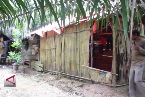 Semangat suku anak dalam gunakan hak pilih