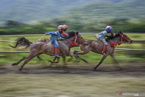 Aksi joki cilik di pacuan kuda trasional Dompu