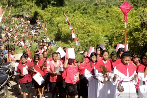 Perayaan Minggu Palma sebagai simbol pesan perdamaian