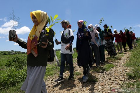Penghijauan kawasan Geothermal Seulawah