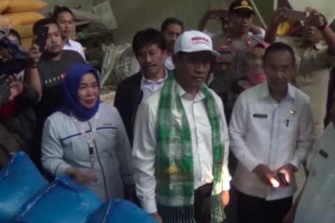 Capai 42,5 juta ton, ekspor beras Indonesia meningkat tajam