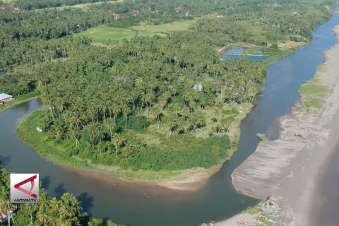 Pulihkan vegetasi pantai, mitigasi bencana tsunami