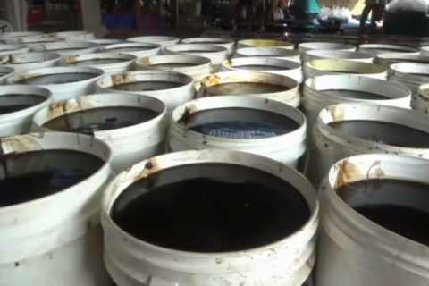 Permintaaan Cincau Hitam meningkat lima kali lipat