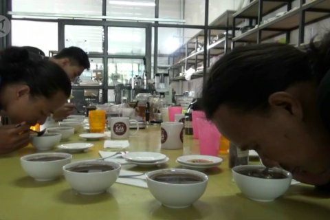 Mengenal cita rasa kopi Nusantara