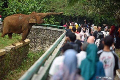 Libur Lebaran di Kebun Binatang Ragunan
