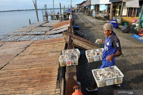 Penjualan ikan asin di Jambi
