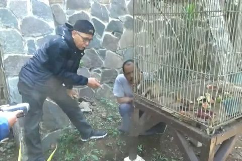 Warga serahkan seekor kukang Jawa ke BKSDA Jabar