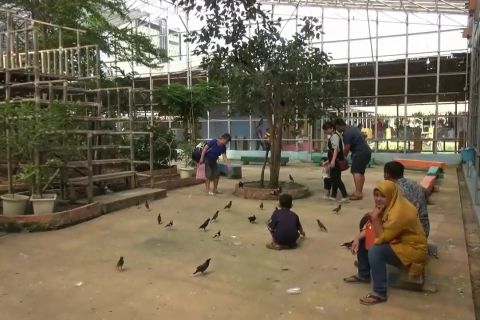 Berwisata aneka satwa di taman burung Palembang