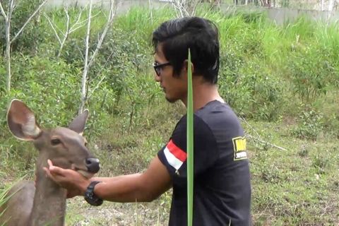 Nyaris punah, bayi kijang Sumatera lahir di PPS Alobi