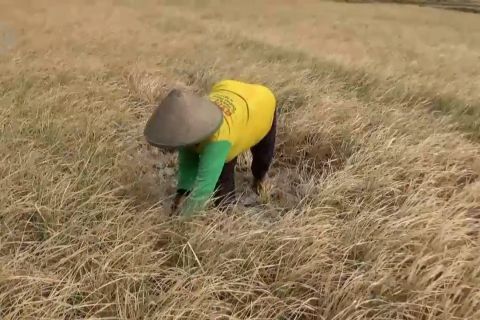 Tanggulangi kekeringan, Pemkab Magetan bangun empat sumur air dalam