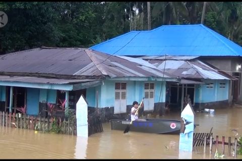 Bantu Rp 500 juta, BNPB juga distribusikan katamaran dan tenda