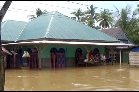 Banjir bandang di Konawe hanyutkan puluhan rumah warga