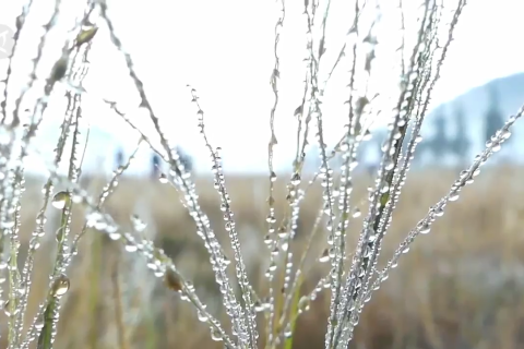 Menyaksikan ‘salju’ menyelimuti Dieng
