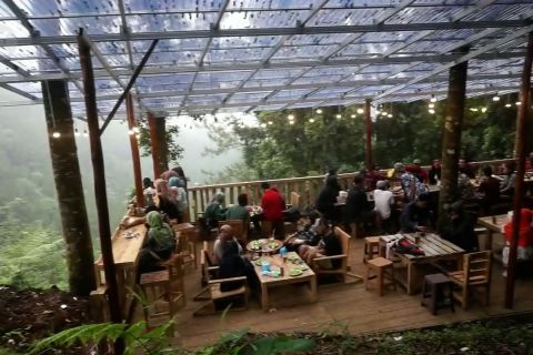 Menyeruput kopi di kedai kawasan hutan lindung