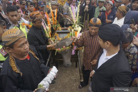 Tradisi ritual Dam Bagong di Trenggalek