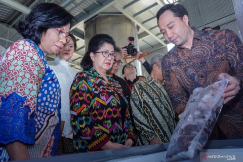 Industri bioteknologi berbasis mikroalga