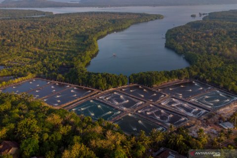 Alih fungsi lahan tepian pantai Karimunjawa