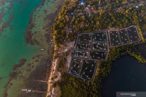 Alih fungsi lahan hutan bakau menjadi tambak di Karimunjawa