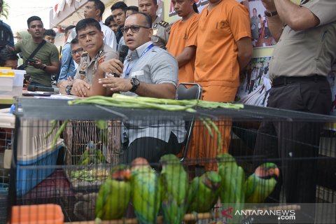 (FOTO) Bongkar Sindikat perdagangan Satwa Dilindungi, begini penampakannya