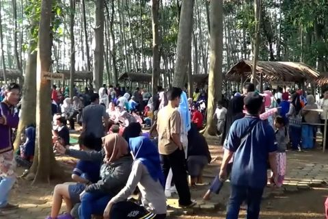 Rindu Semilir, pasar antisampah plastik