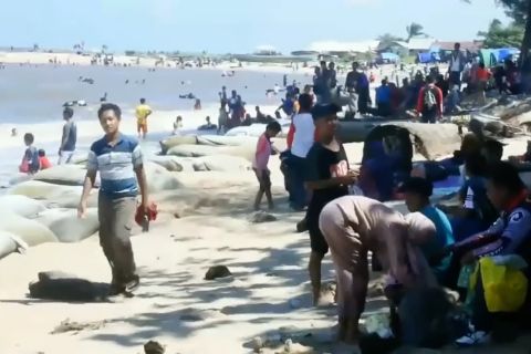Tanggul permanen akan dibangun di Pantai Ujung Pandaran