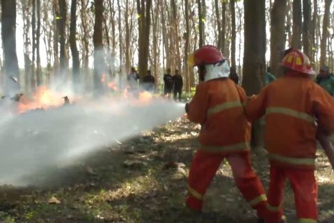 72 ribu hektar hutan di Jember rawan terbakar