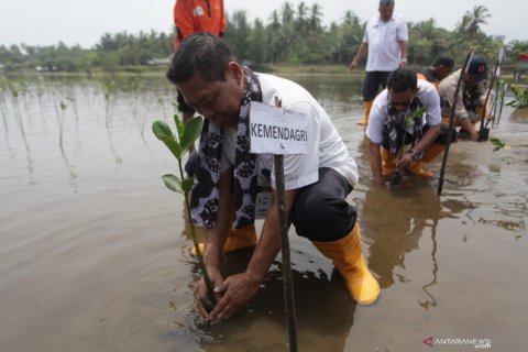NGO Jerman tanam 4000 pohon mangrove