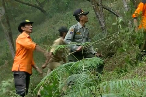 Petugas sisir titik api kebakaran Gunung Sumbing