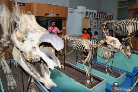 Peringatan 125 tahun Museum Zoologi