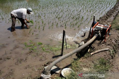 Irigasi sawah dari sumur bor