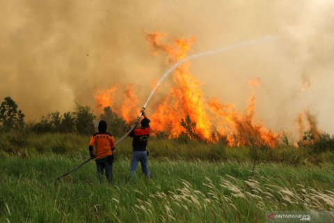 Kebakaran lahan gambut di Kalsel semakin meluas