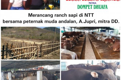 Ranch Sapi
