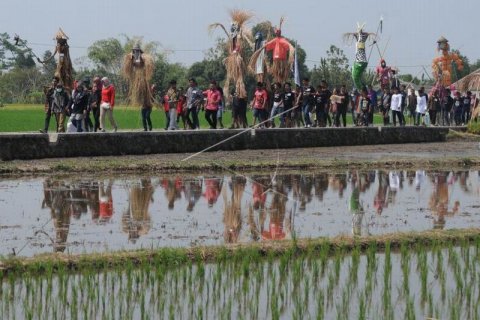 Tradisi wiwitan padi