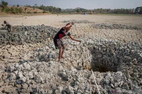 Musim kemarau panjang, waduk di Grobogan mengering