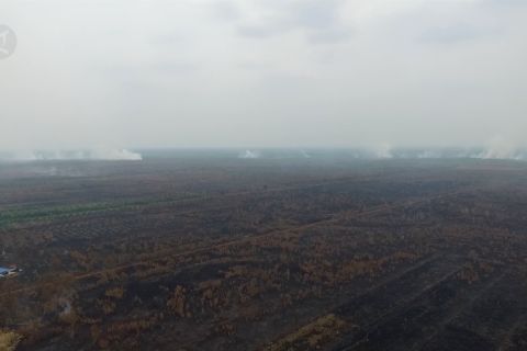 Dampak kabut asap bagi ibu hamil dan janin