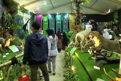 Kemeriahan Festival Flora dan Fauna tahun 2019