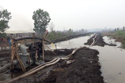 Inovasi permanen atasi kebakaran di lahan gambut