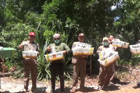 Ribuan kolibri dilepas liarkan di hutan lindung Sungailiat