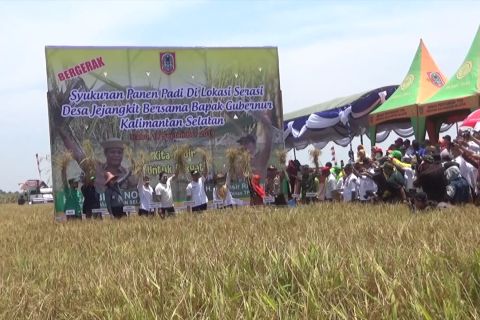 Segerakan panen antisipasi kebakaran di lahan pertanian