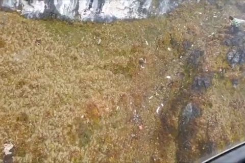 TIM SAR temukan serpihan pesawat yang hilang kontak di Papua