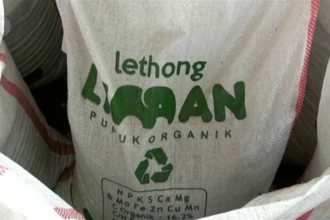 Mengolah kotoran gajah menjadi pupuk unggul